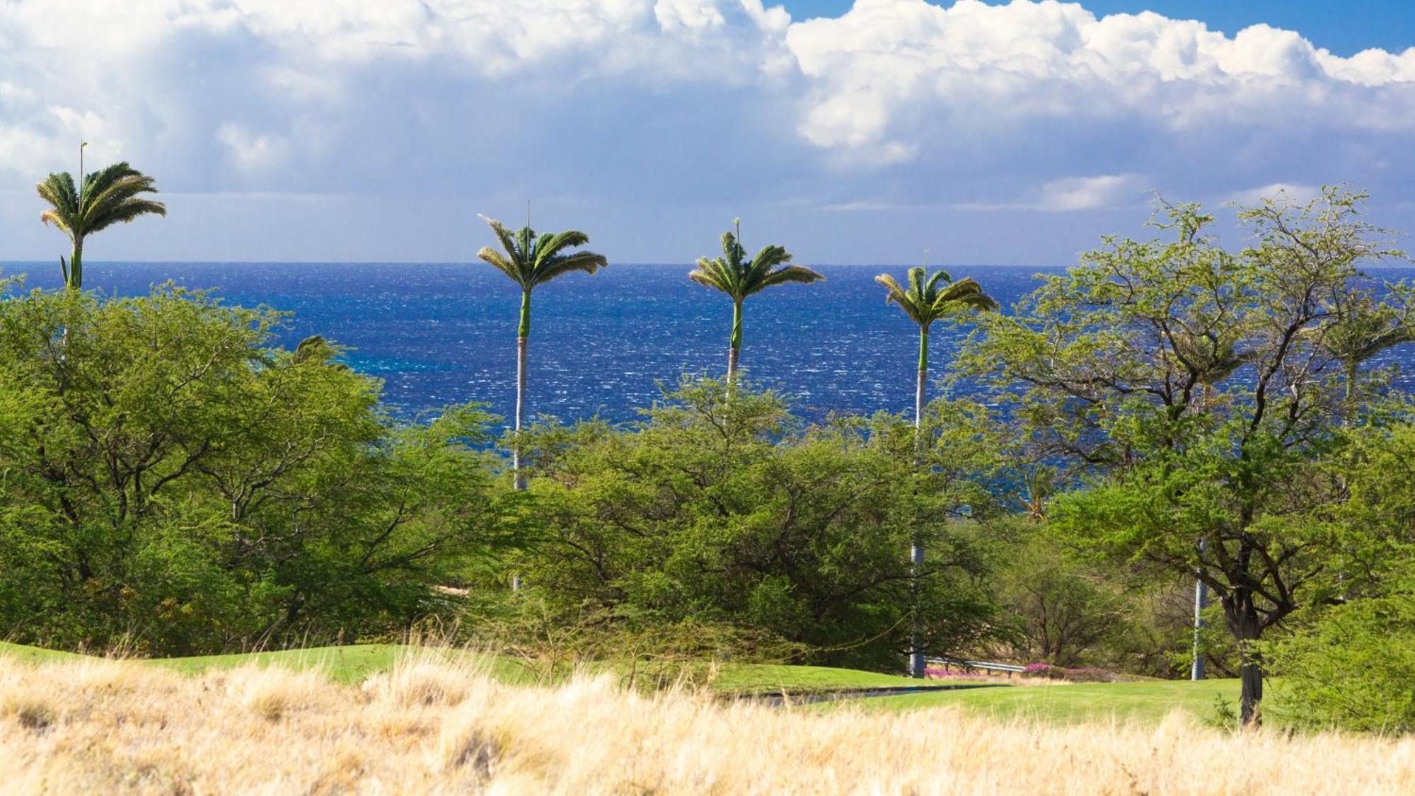 Ikena Nani Exquisite Mauna Kea Home With Heated Pool And Ocean Views Waimea  Exterior photo